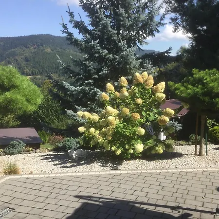 Panorama Prázdninový dům *